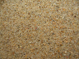 Playa de El Sablon